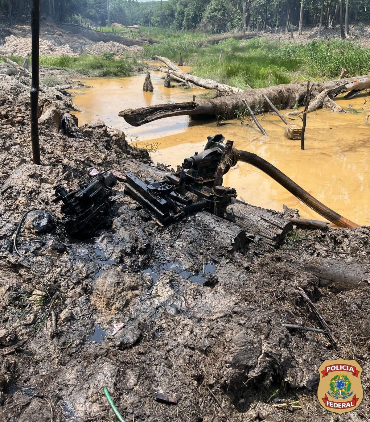 MAPINGUARI: PF e Ibama combatem garimpo ilegal em Parque Nacional 