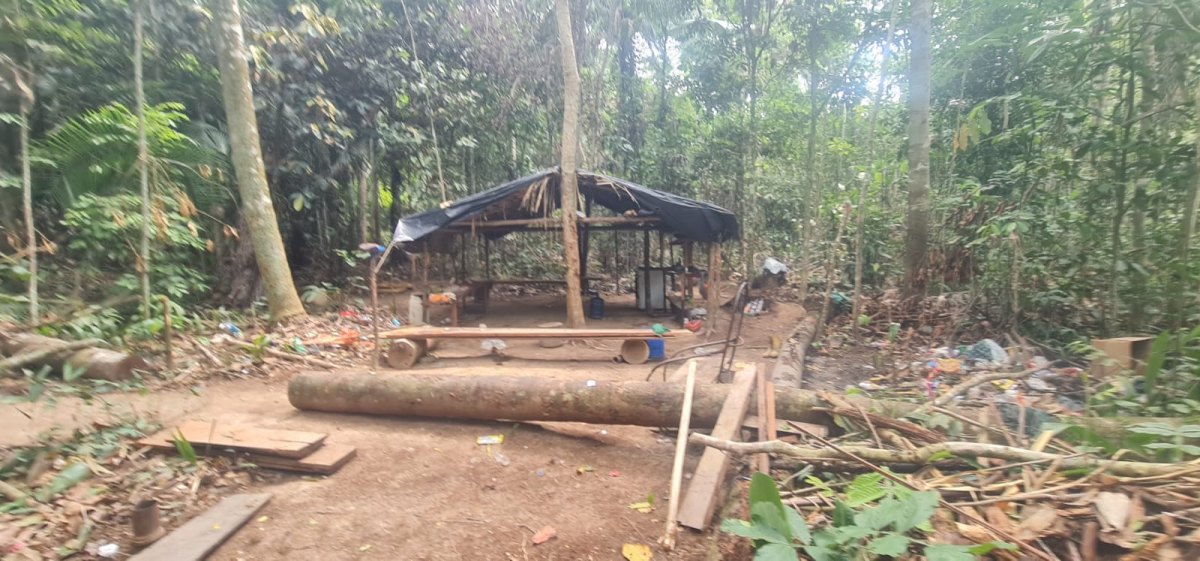 MAPINGUARI: PF e Ibama combatem garimpo ilegal em Parque Nacional 