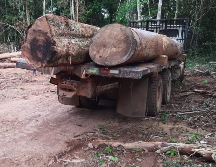 ROOSEVELT: PF prende três pessoas por desmatamento em Terra Indígena 