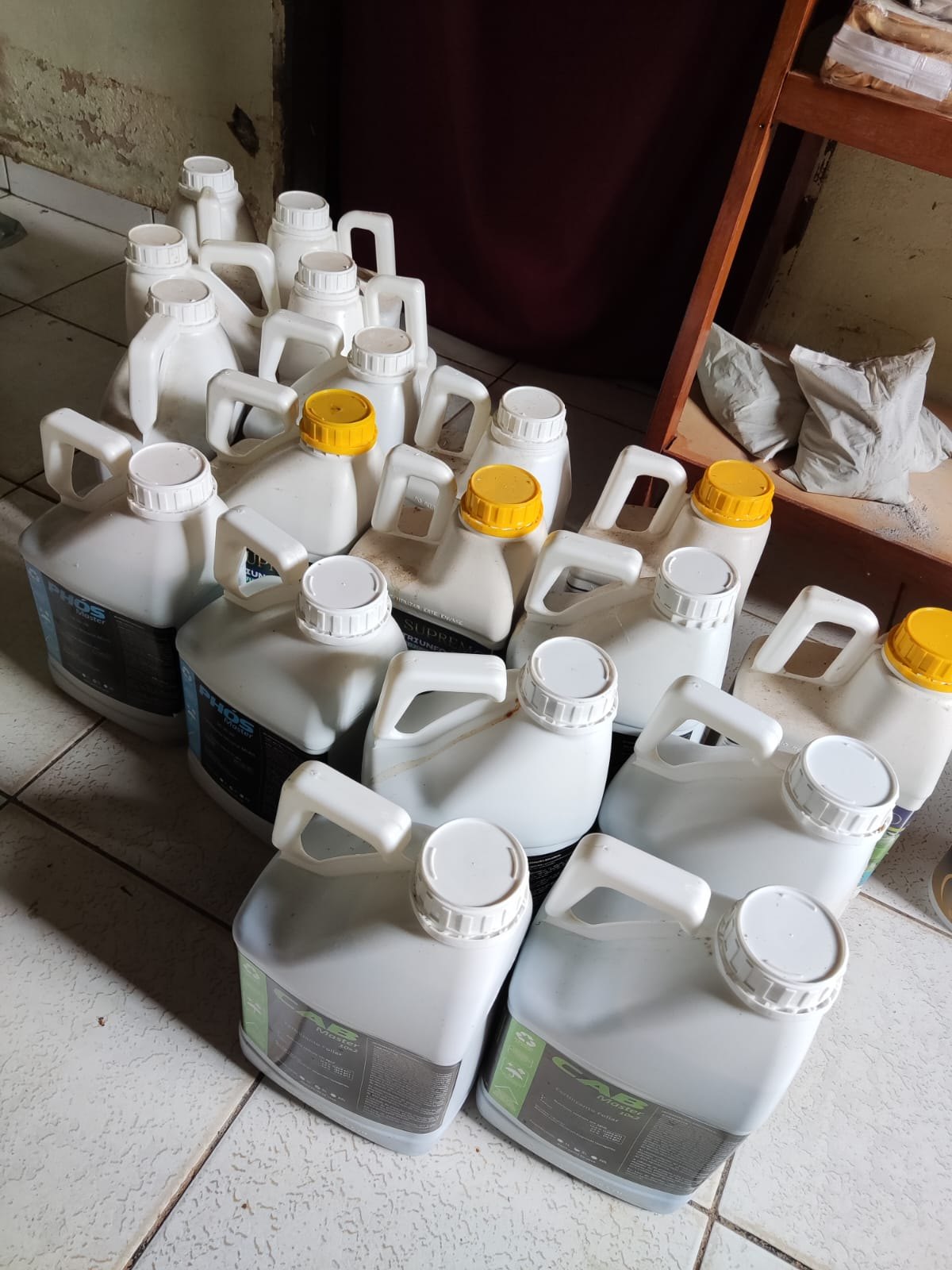 TAPUNHAS: Operação da PF e Funai combate invasão de Terra Indígena em RO