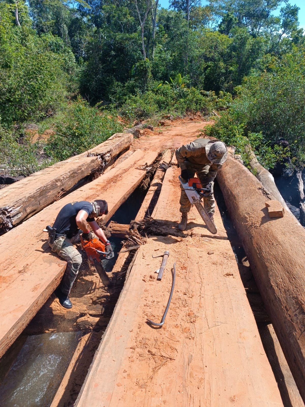 ROBERT JORDAN: Operação da PF combate extração de diamantes e destrói vários veículos em TI