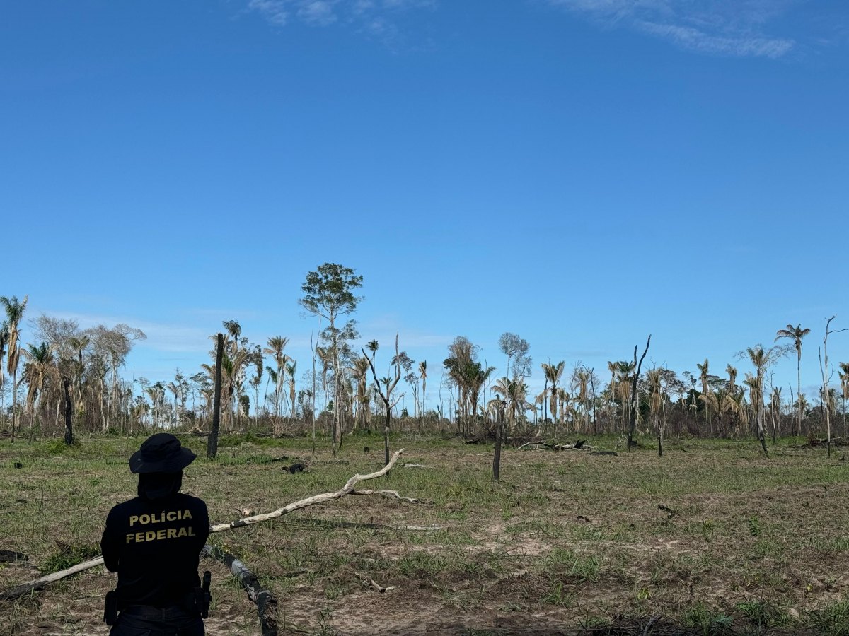 CUTIA 360°: Operação da PF e ICMBio combate desmatamento e caça em Parque Nacional 