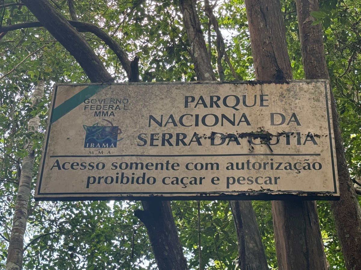 CUTIA 360°: Operação da PF e ICMBio combate desmatamento e caça em Parque Nacional 