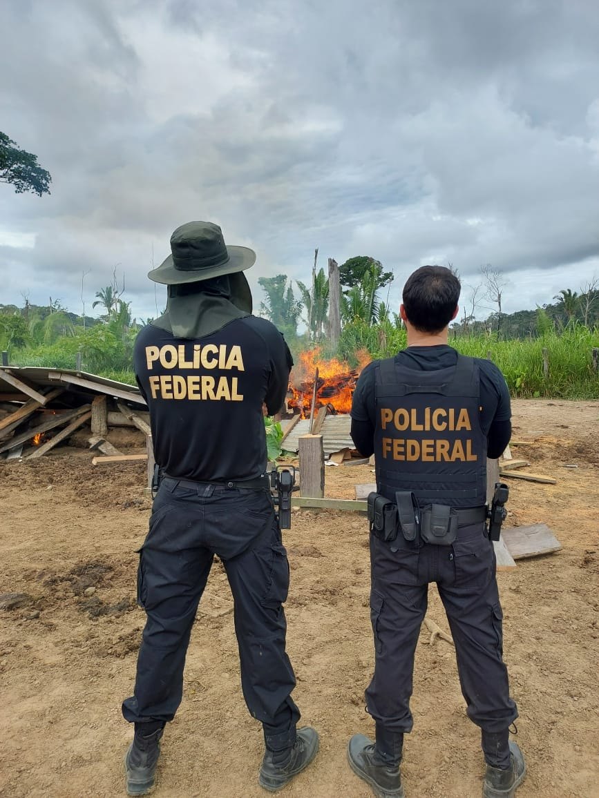 RESERVA RIO OURO PRETO: Operação da PF, Exército, ICMBio e PM combate extração ilegal de madeira 