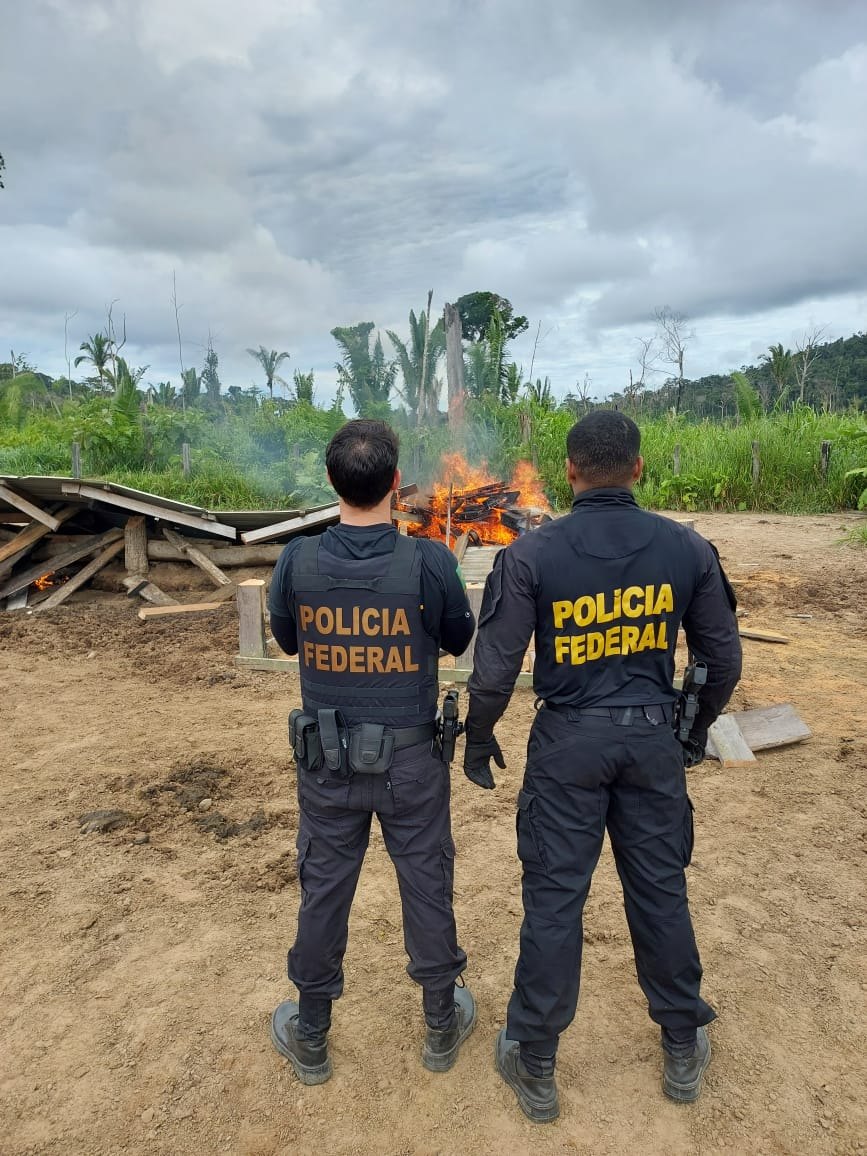RESERVA RIO OURO PRETO: Operação da PF, Exército, ICMBio e PM combate extração ilegal de madeira 