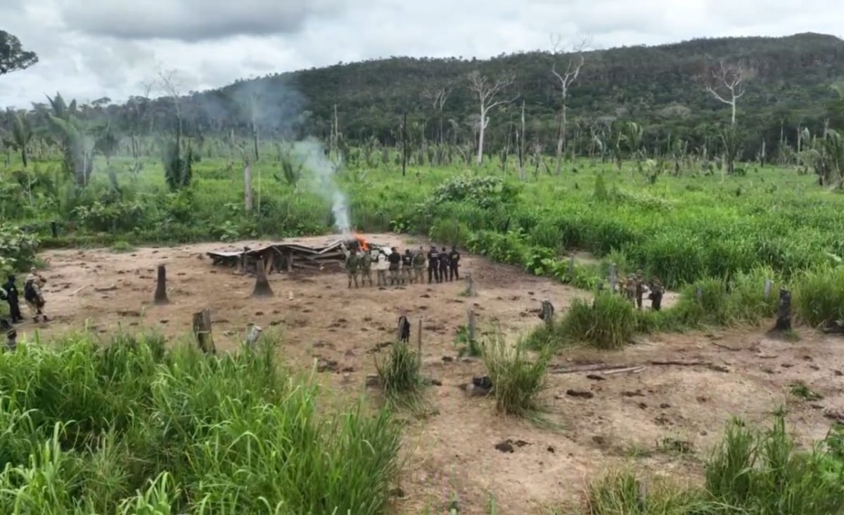 RESERVA RIO OURO PRETO: Operação da PF, Exército, ICMBio e PM combate extração ilegal de madeira 