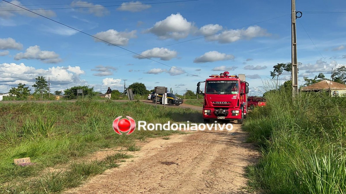 VÍDEO: Cachorro provocou capotamento que deixou professora gravemente ferida na BR-319