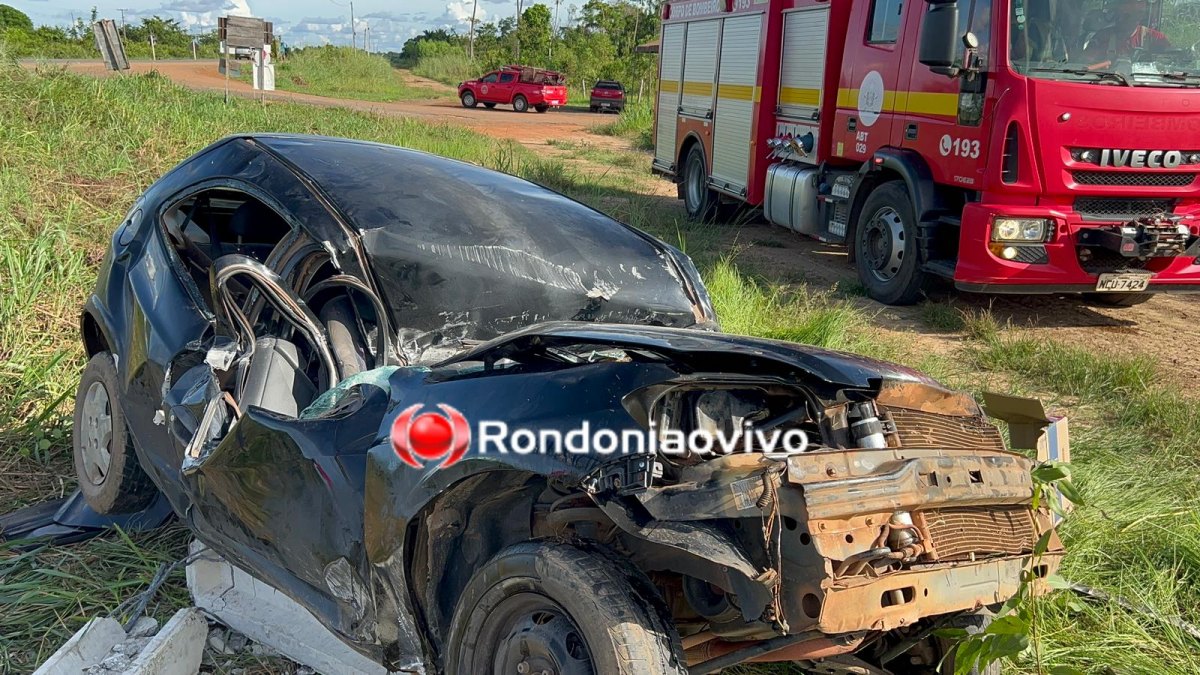 VÍDEO: Cachorro provocou capotamento que deixou professora gravemente ferida na BR-319