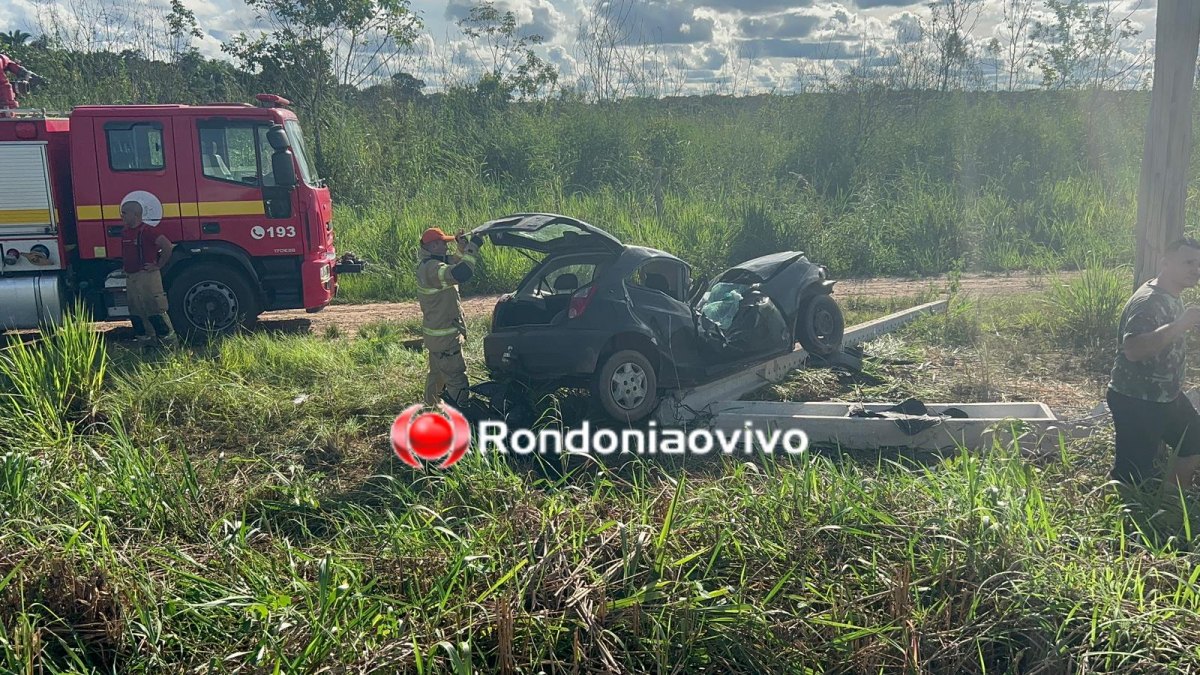VÍDEO: Cachorro provocou capotamento que deixou professora gravemente ferida na BR-319