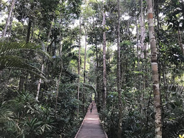 TURISMO: Conheça Parque Natural de Porto Velho, ponto de contato com natureza