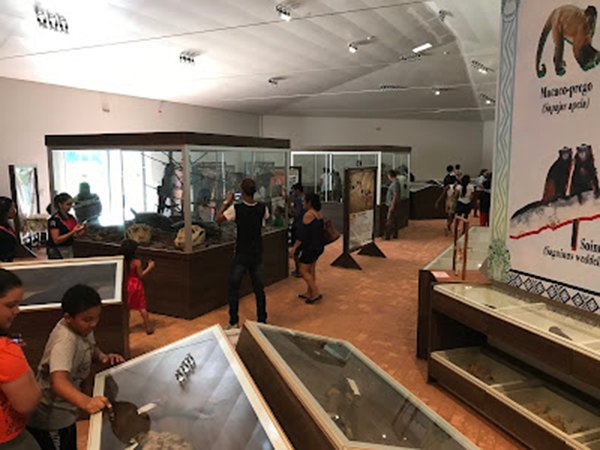 TURISMO: Conheça Parque Natural de Porto Velho, ponto de contato com natureza