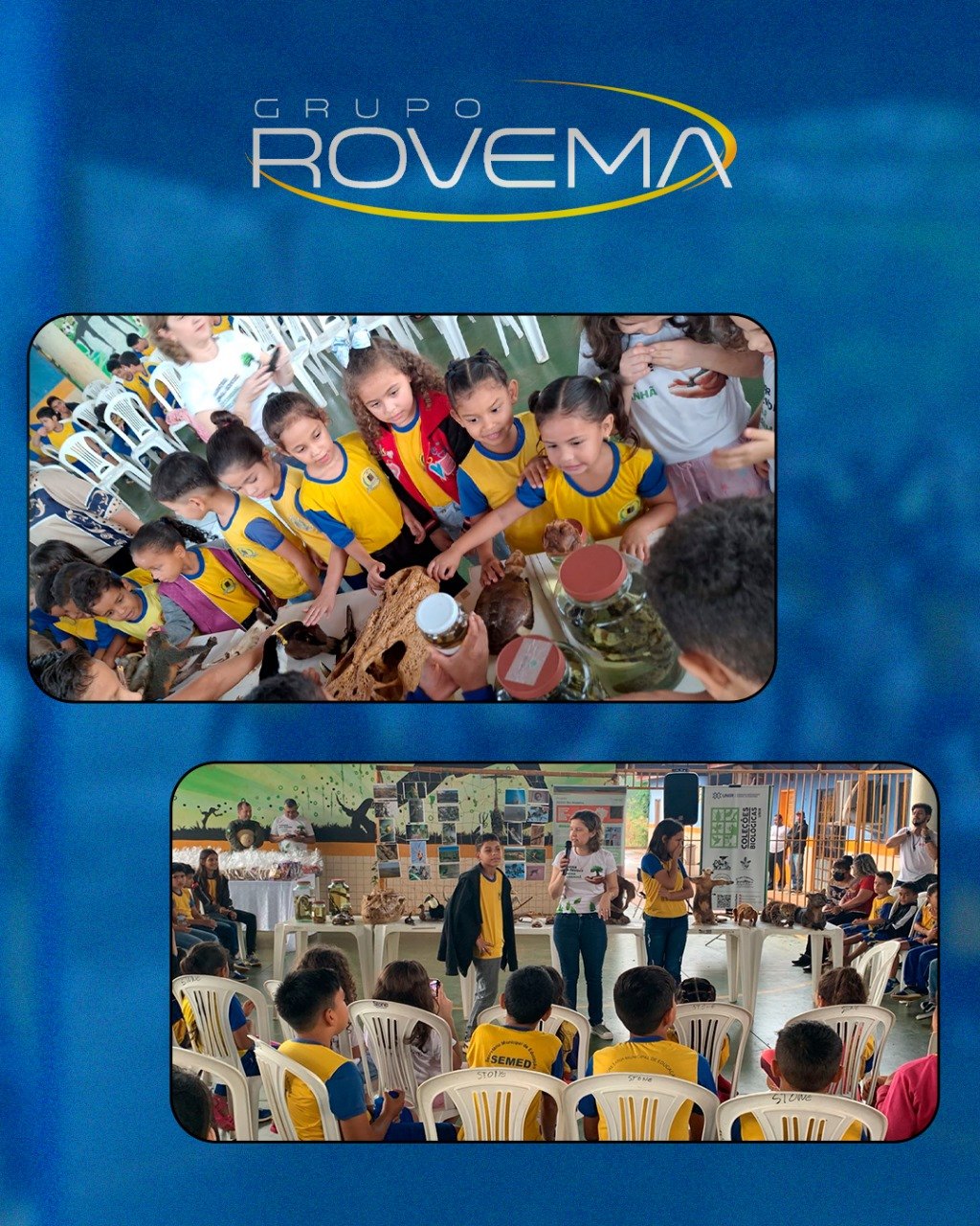 RETROSPECTIVA: Veja as principais ações do Grupo Rovema em 2024