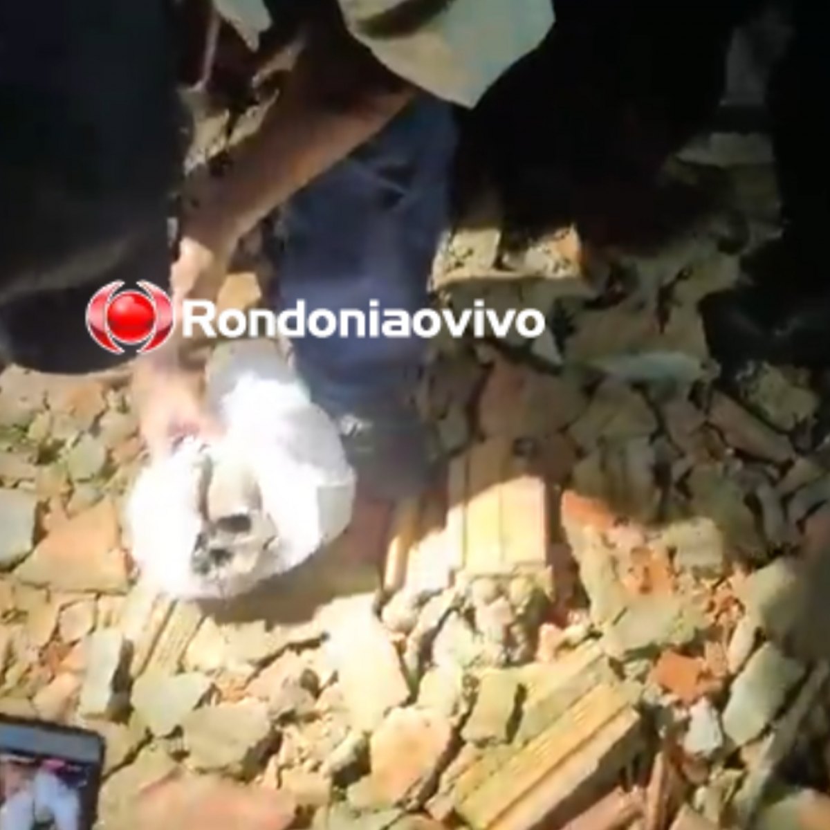 MAGIA NEGRA: Crânio localizado pode ter sido furtado de cemitério na capital 