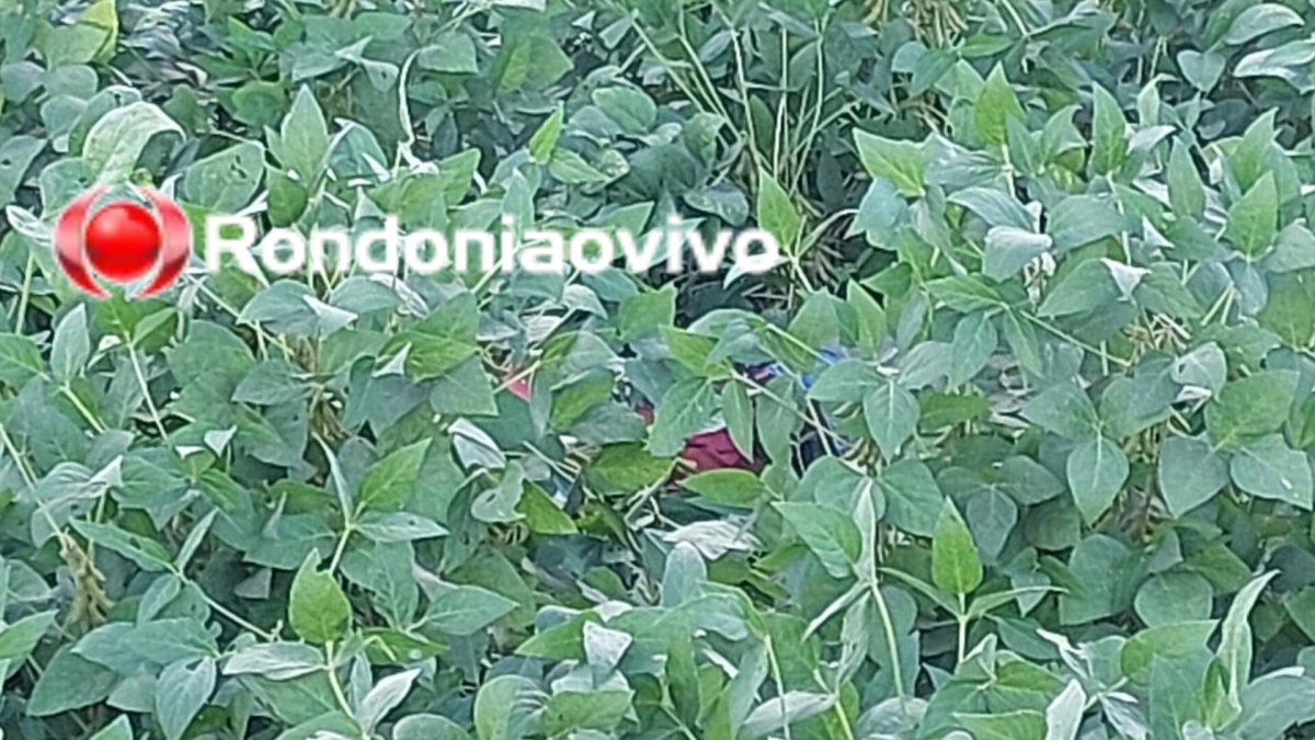 URGENTE: Duas pessoas morrem após serem eletrocutadas na Terra Santa