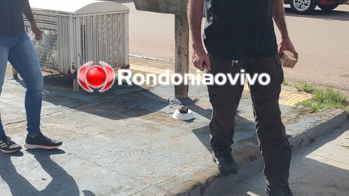 MISTÉRIO: Feto humano é encontrado jogado em lixeira na zona Leste 