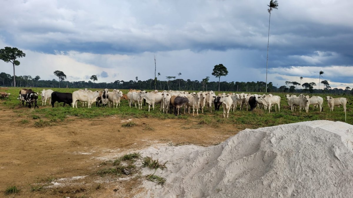 BENEFÍCIO: Basa destinou mais de R$8,20 bi para crédito rural em 2021
