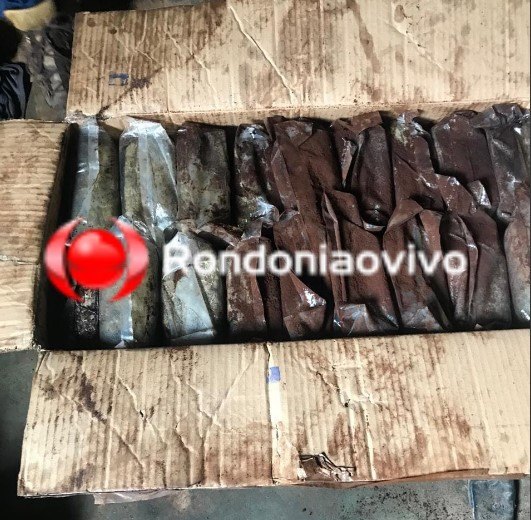 URGENTE: Denarc prende traficante do CV com 100 quilos de skunk na capital