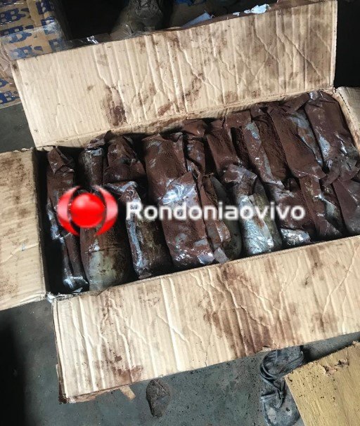 URGENTE: Denarc prende traficante do CV com 100 quilos de skunk na capital