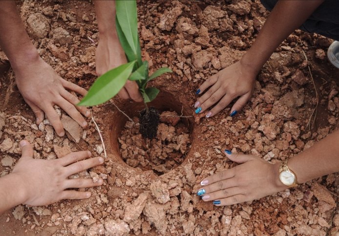 ECOSSISTEMA: 'Vou estudar debaixo da árvore que plantei', diz criança sobre plantio de mudas