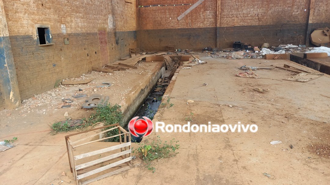 ASSISTA: Cadáver em decomposição é encontrado em terreno de antiga empresa de ônibus