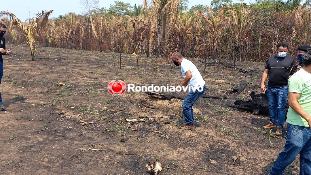 QUEIMADO: Restos mortais de idoso são encontrados em fundiária de fazenda