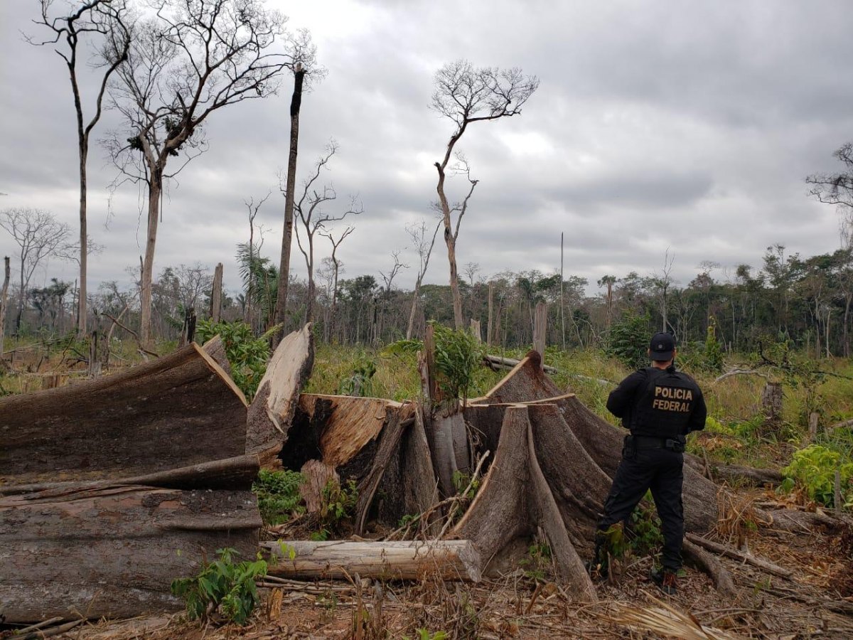 OPERAÇÃO ILLUSIO: PF cumpre mandados de prisão contra grupo acusado de invadir e incendiar reserva
