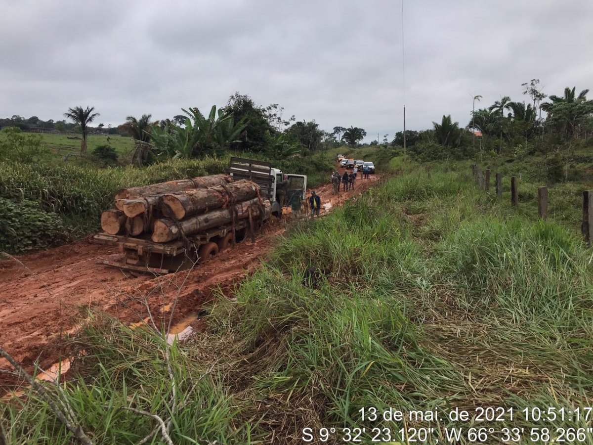 KAPORTO: Operação prende bando por extração de madeira em Terra Indígena Kaxarari