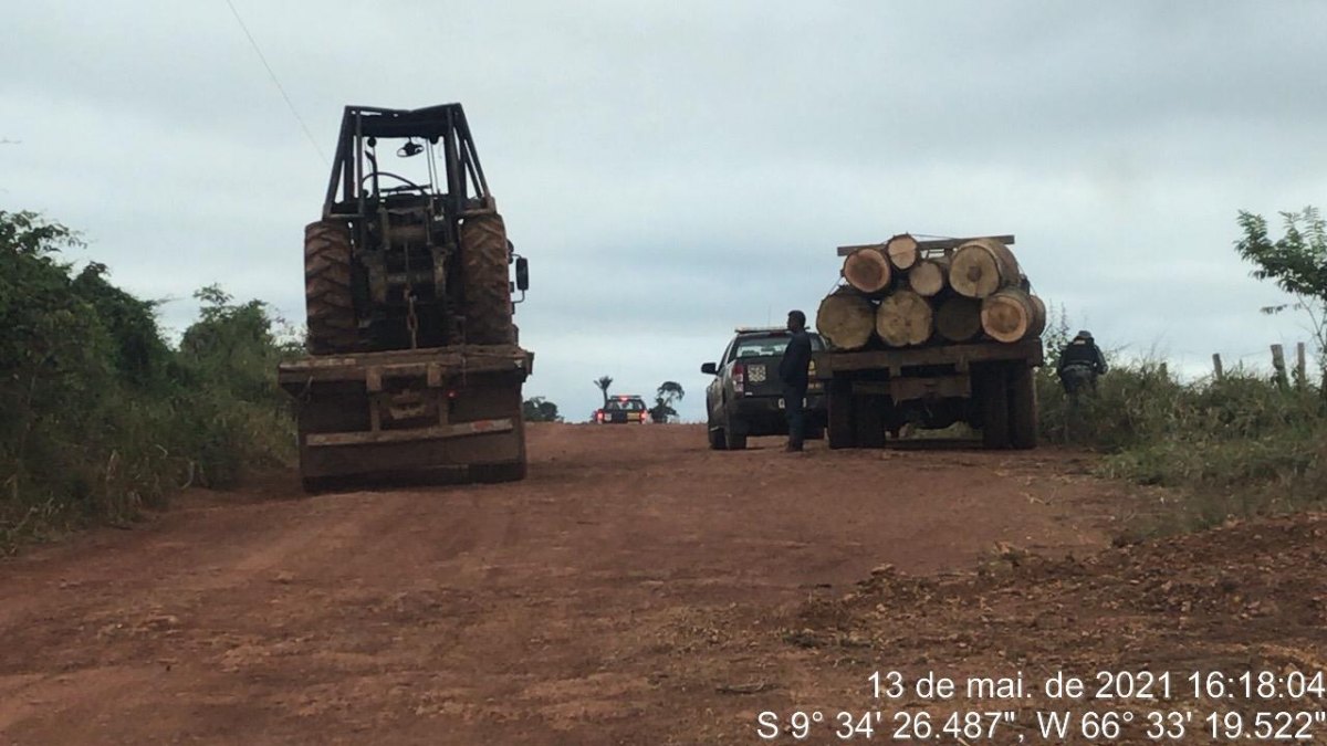 KAPORTO: Operação prende bando por extração de madeira em Terra Indígena Kaxarari