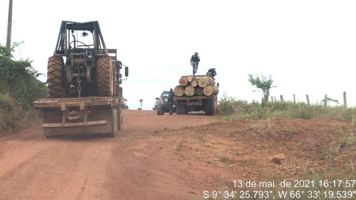 KAPORTO: Operação prende bando por extração de madeira em Terra Indígena Kaxarari