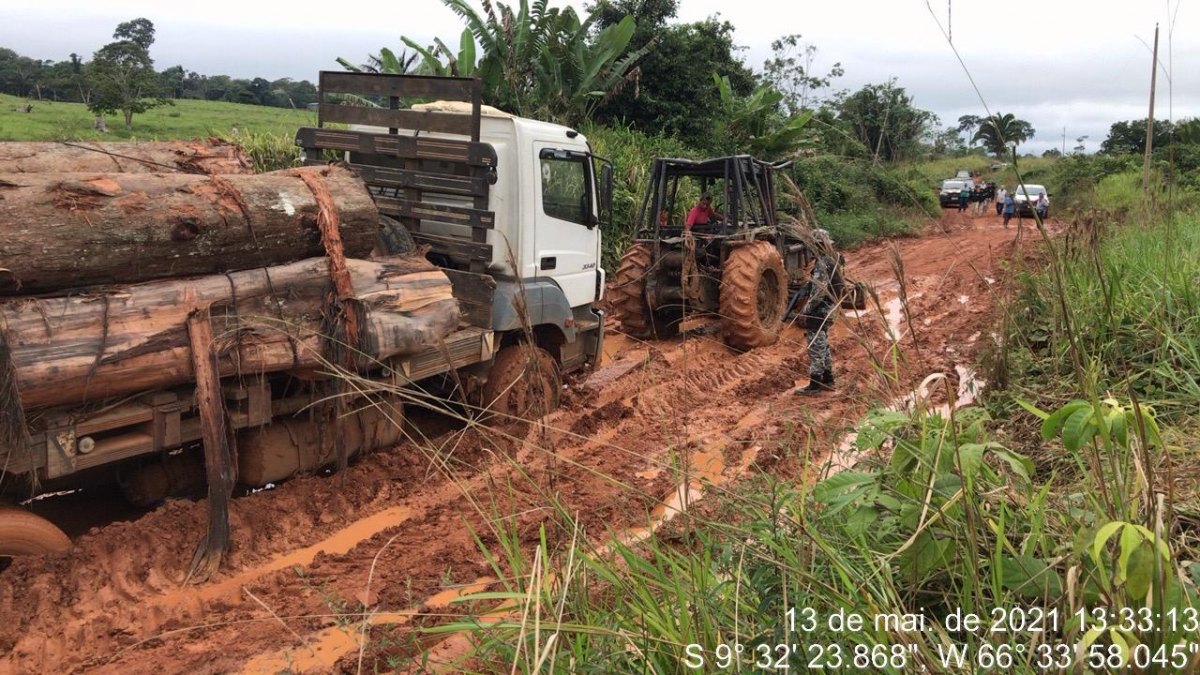 KAPORTO: Operação prende bando por extração de madeira em Terra Indígena Kaxarari