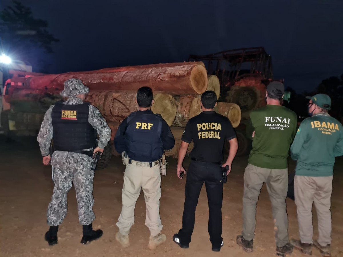 KAPORTO: Operação prende bando por extração de madeira em Terra Indígena Kaxarari