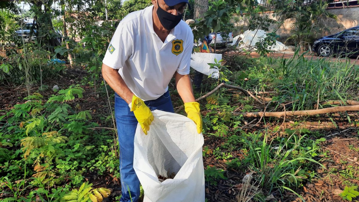 EM CACOAL: MFM e RLP mantém parcerias com prefeitura para limpeza do Rio Tamarupá 