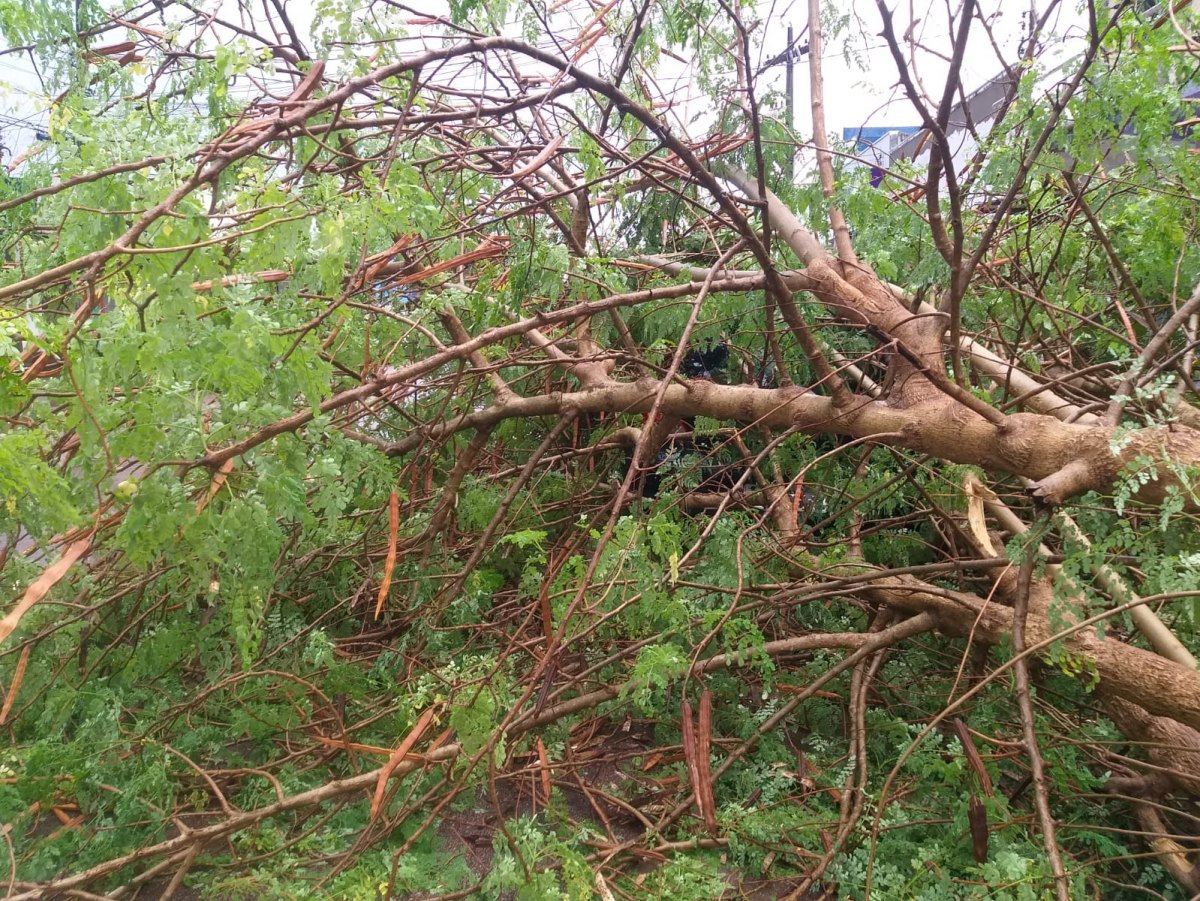 DESTRUIÇÃO: Fortes ventos e chuva intensa causam prejuízos em Porto Velho