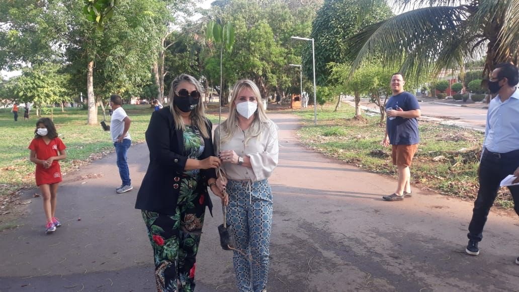 PRESERVAÇÃO: Márcia Socorristas Animais participa de ações em alusão ao Dia da Árvore