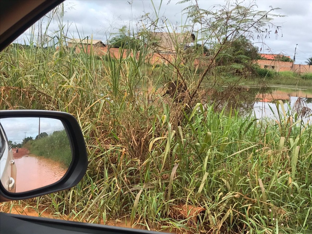 PROBLEMAS: Moradores têm dificuldades em trafegar na Estrada dos Japoneses