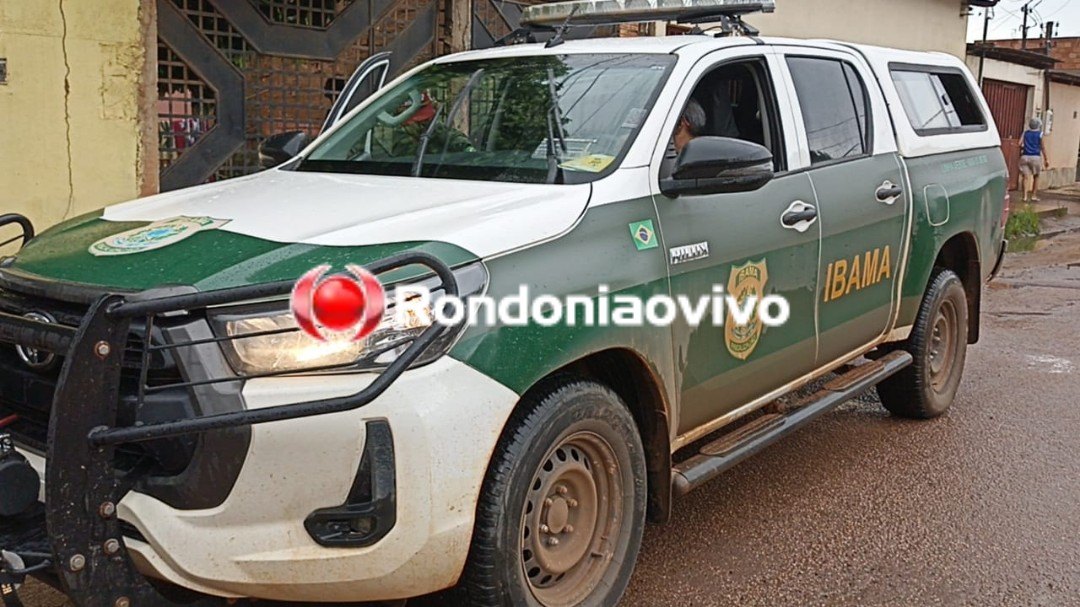 VÍDEO: Jacaré é encontrado em via pública e Bombeiros com Ibama são chamados