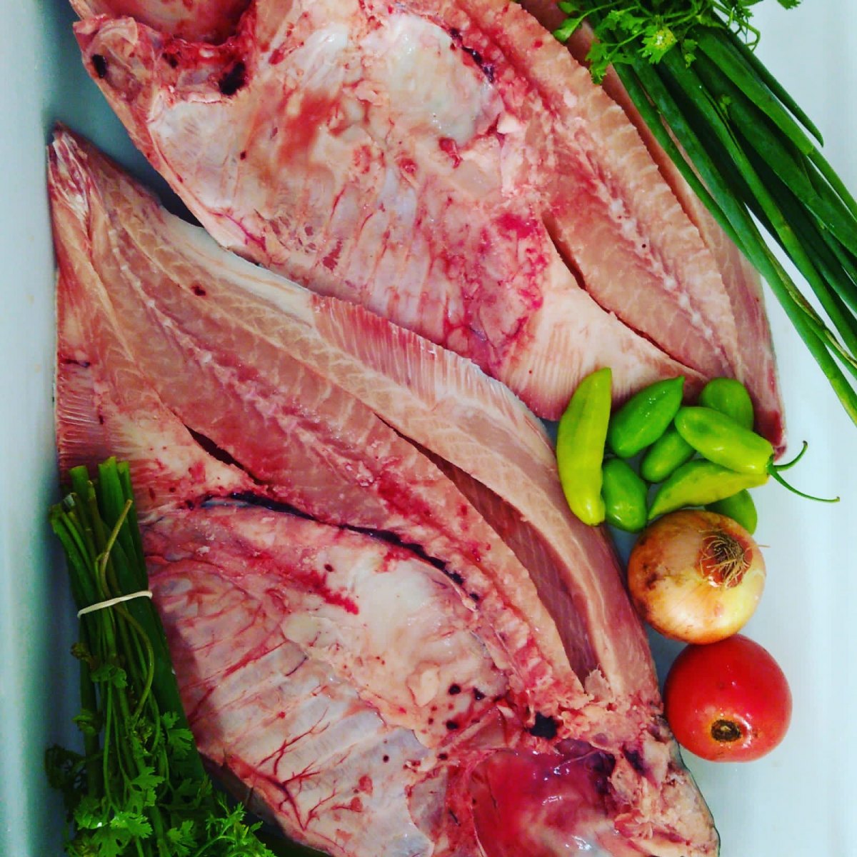 PEIXARIA FP: Encomende antecipadamente seu tambaqui em Porto Velho