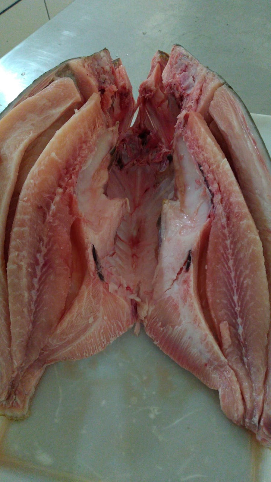 PEIXARIA FP: Encomende antecipadamente seu tambaqui em Porto Velho