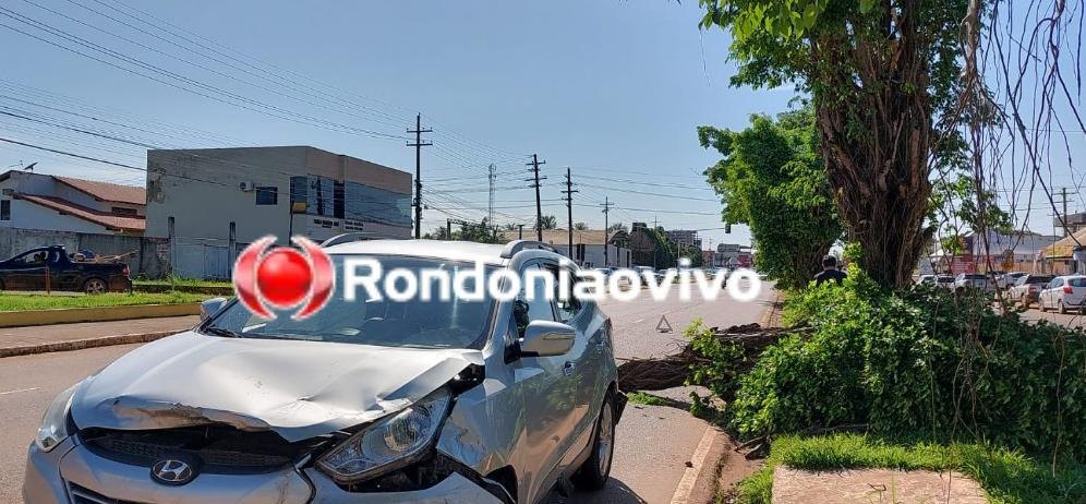 SUSTO: Médica tem carro atingido por árvore que caiu no meio de avenida