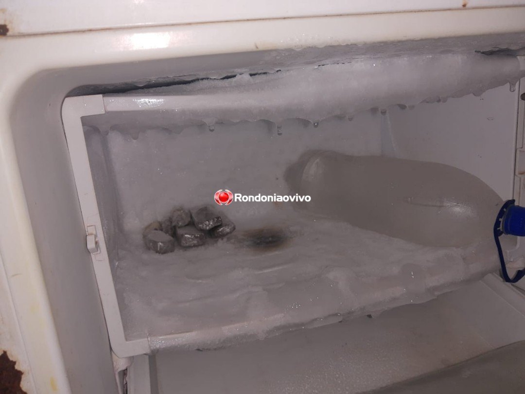 VÁRIAS PORÇÕES: Denarc prende irmãos do tráfico guardando drogas em geladeira