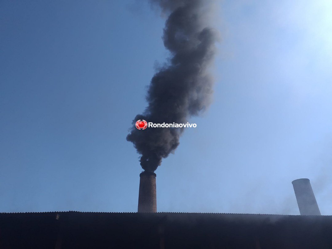 NARCO BRASIL: Polícia Civil realiza incineração de mais de meia tonelada de drogas