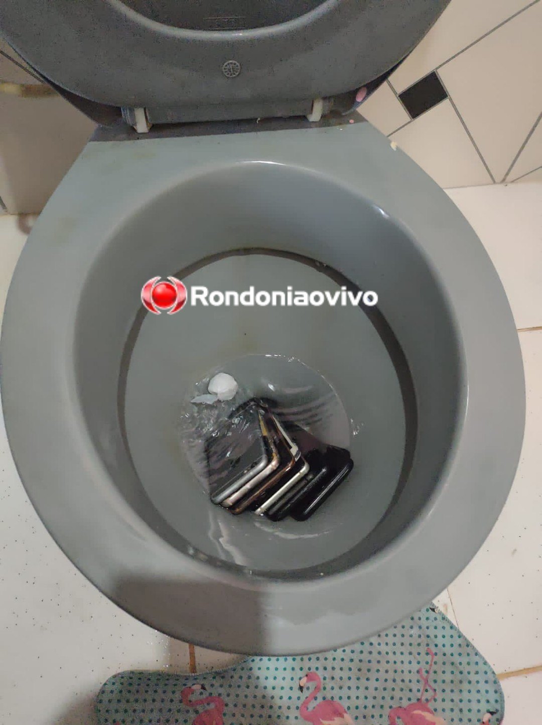 NÃO ESCAPOU: Ladrão de residências joga drogas e celulares em vaso sanitário, mas é preso 