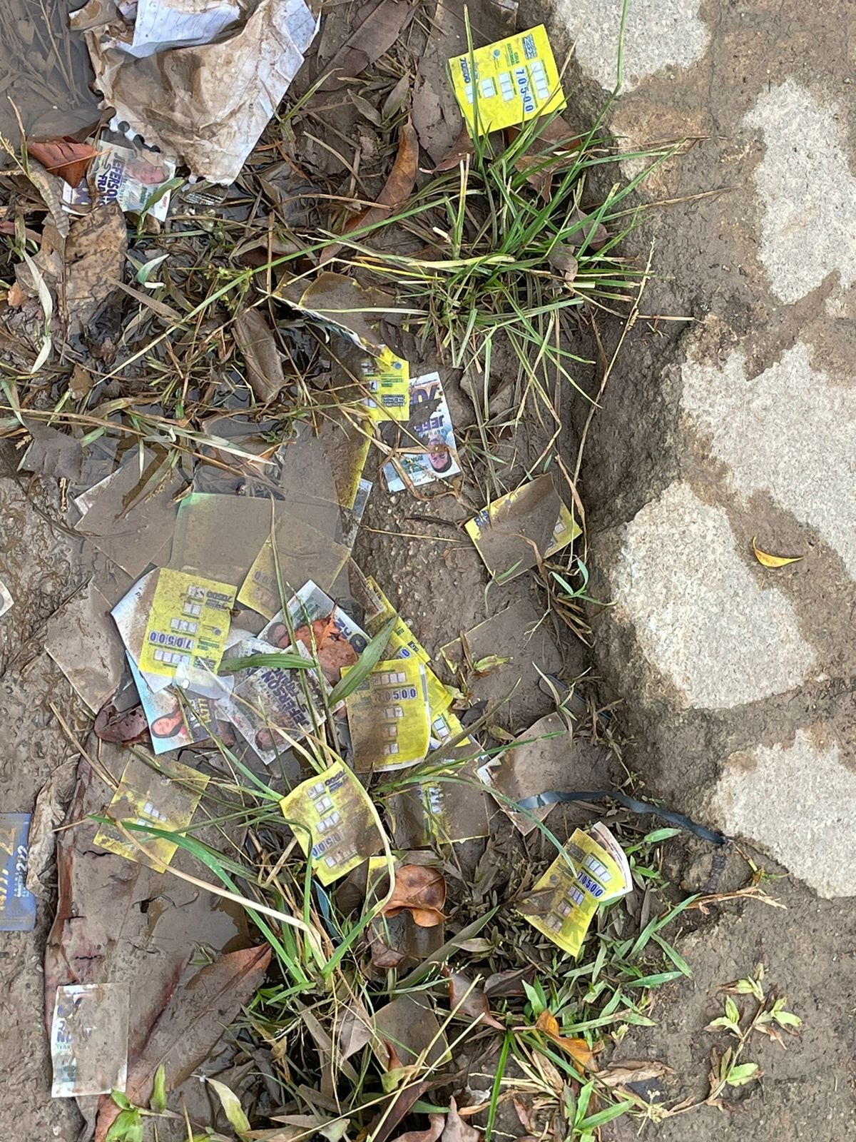 LIMPO: Locais de votação em Porto Velho tiveram pouco derrame de santinhos