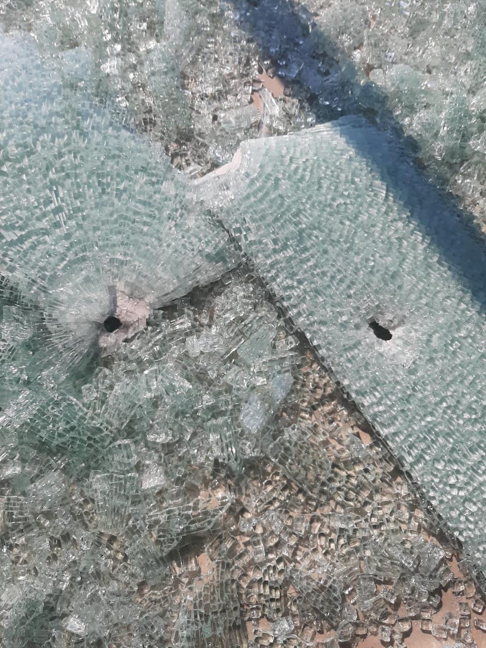 BANDIDOS: Pizzaria que estava na lista de golpistas também é atacada com vários tiros 