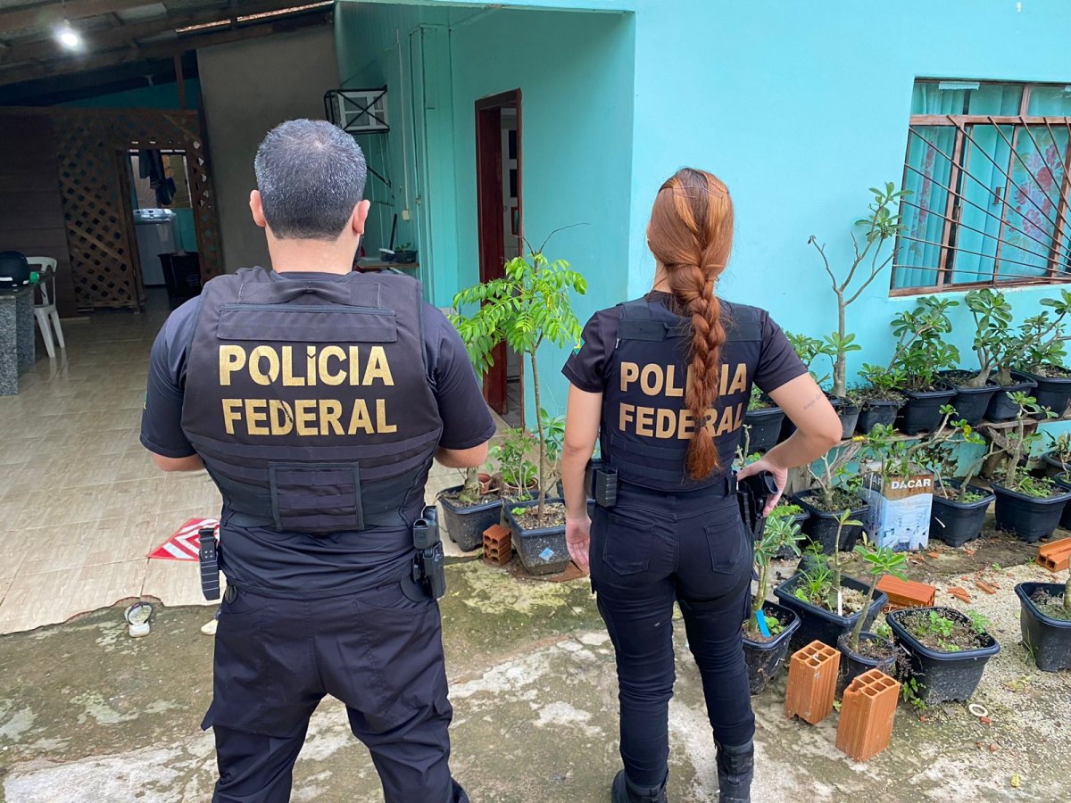 OPERAÇÃO: PF prende homem em flagrante compartilhando pornografia infantil