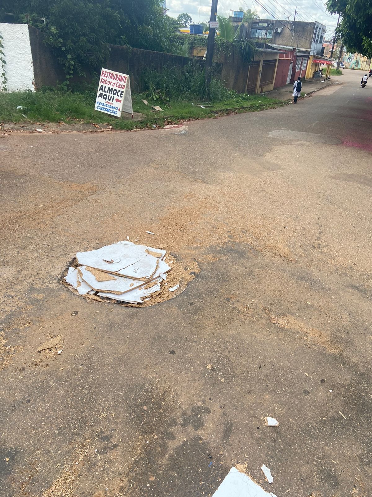 ELLIS REGINA: Vereadora pede recapeamento das ruas da Vila Tupi