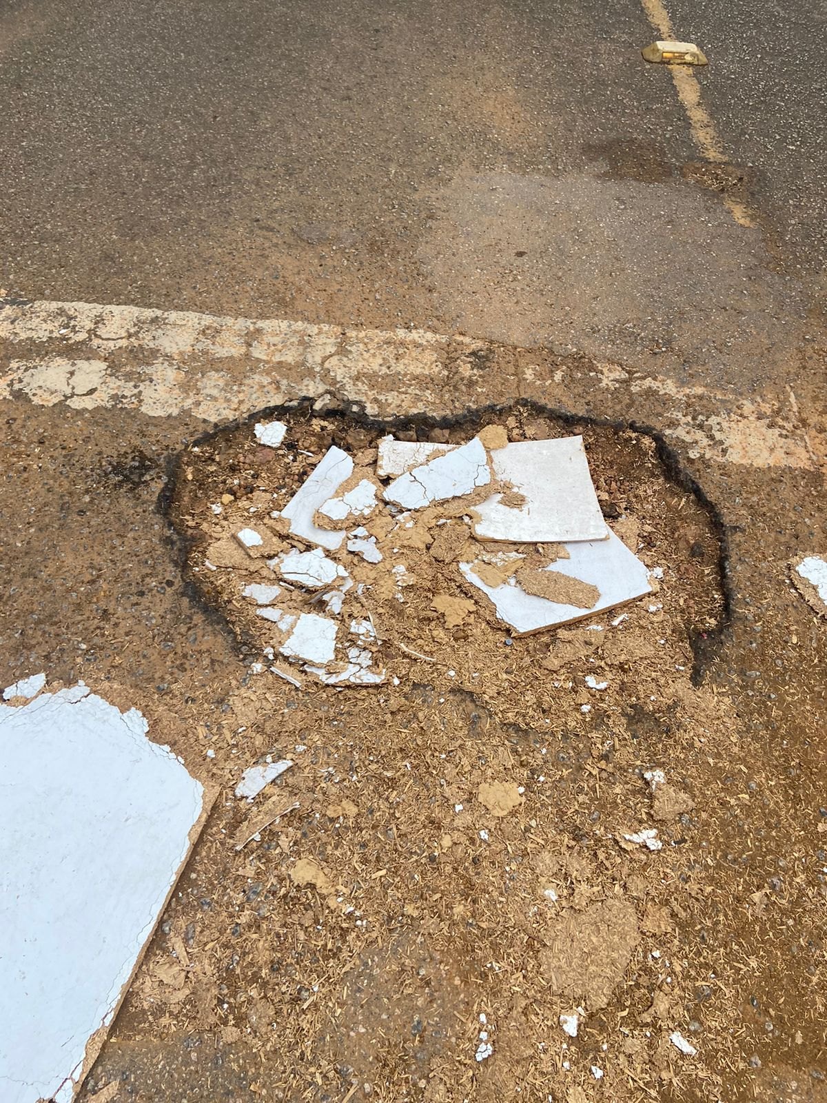 ELLIS REGINA: Vereadora pede recapeamento das ruas da Vila Tupi