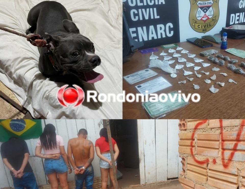 BOCA DE FUMO: Denarc prende traficantes e encontra cadela que teria sido trocada por drogas