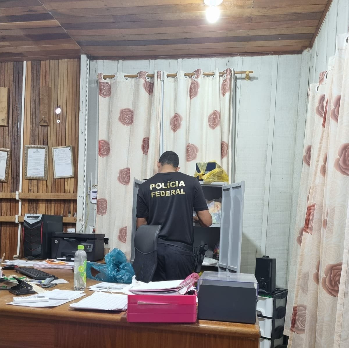 FAKE PLAN: Madeireiros são alvos de operação e PF apreende cinco milhões