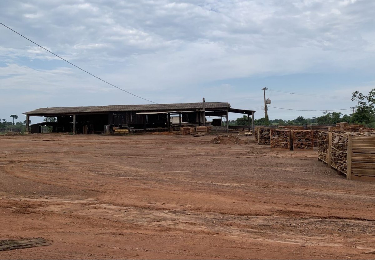 FAKE PLAN: Madeireiros são alvos de operação e PF apreende cinco milhões